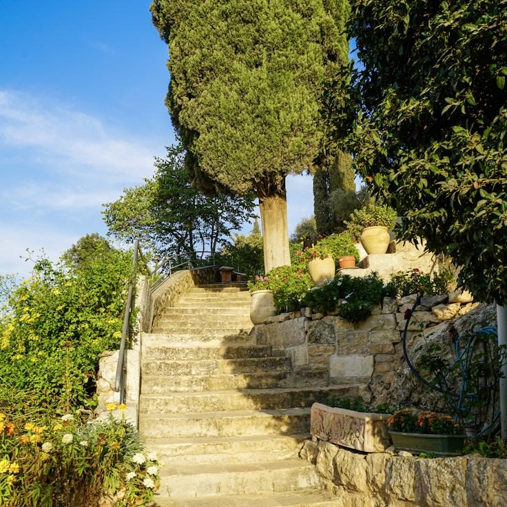 Family terraces and cafés for calm evenings in Amsterdam